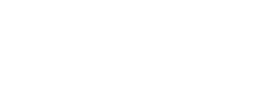 Chip Systems – IT Services