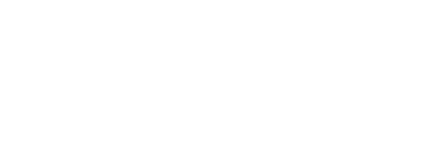 Chip Systems – IT Services